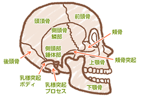 肝臓機能低下によるアトピー